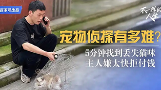 宠物侦探下